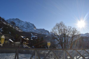 Jungfrauview